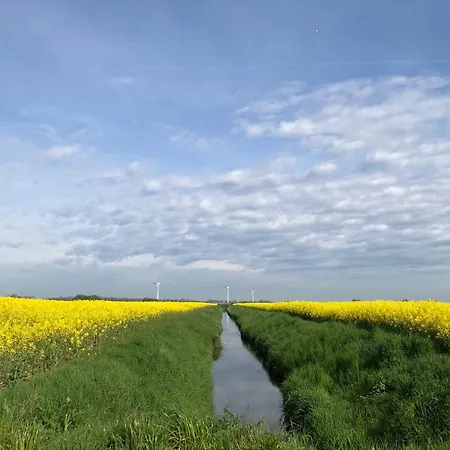 Tief 12 Hafenkieker Mit Internet 53 דירה שיליג