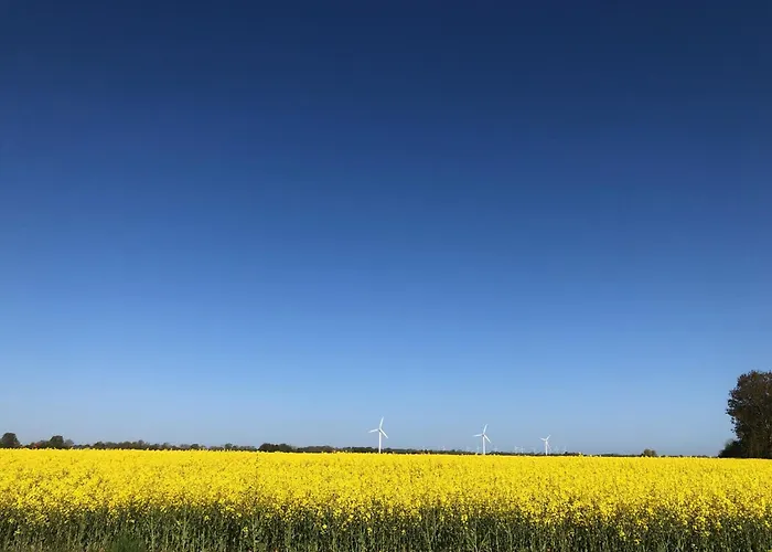 Tief 12 Hafenkieker Mit Internet 53 * Schillig